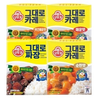 오뚜기 그대로 카레 200g x 6개/짜장