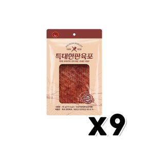 특대한판육포 오리지널맛 간편안주 65g x 9개