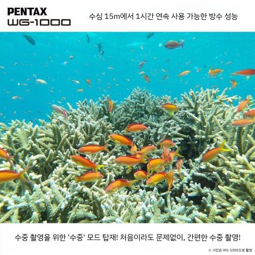 상품이미지7