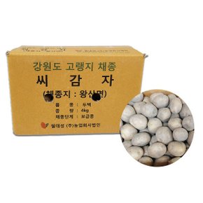강원도 종자등록 씨감자 두백 4kg