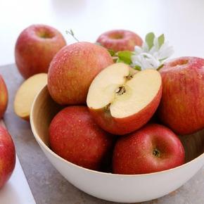 빨간사과 가정용 홍로사과 2kg 12-15과