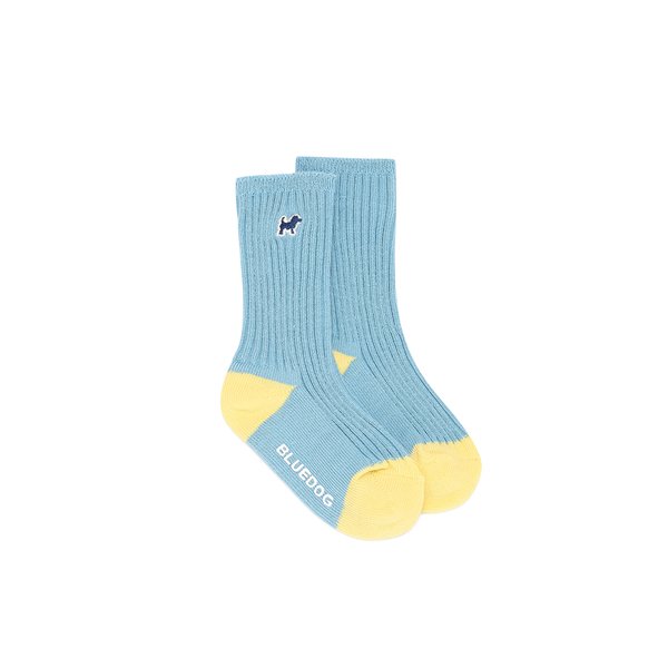 확대된 대표 IMAGE1