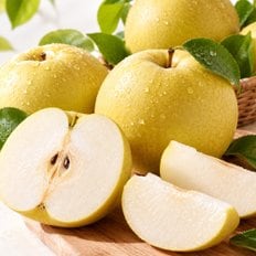 그린시스 초록 배 1.5kg (3~5입)