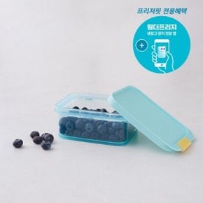 프리저핏 냉동실 정리용기 450ml 2P 세트 (HFL101)