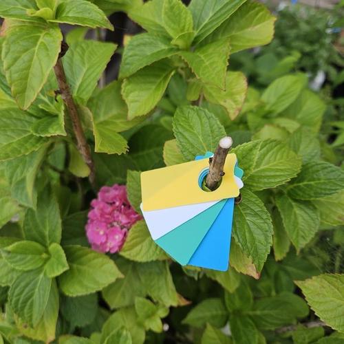 미니 식물 라벨 이름표 100P/수목표찰/플랜트라벨/화분팻발/꽃이름표/화분픽/베란다가드닝/식물네임택/화분네임택/식물라벨(1)