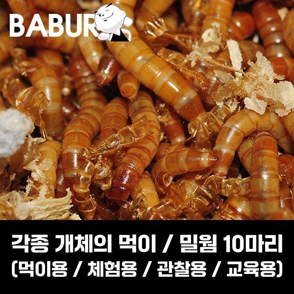 확대된 대표 상품이미지1