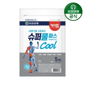 해피홈 슈퍼쿨파스(5매) x 1개