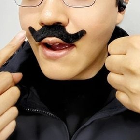 접착식 붙이는 파티 분장 가짜 콧 수염 세트 인조