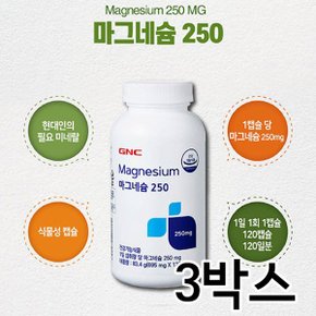 GNC 마그네슘250 120캡슐 3박스 (12개월분)
