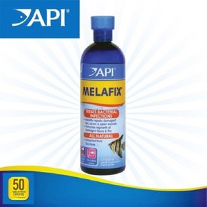 API 멜라픽스 473ml