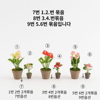 제이큐 미니어쳐 꽃 납골당 장식 소품