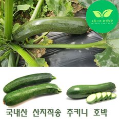 오둥이네 산지직송 국내산 돼지호박(쥬키니호박) 5kg