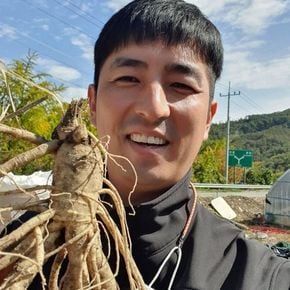 (세척) 대 삼계삼 25뿌리내외 750g/인삼 수삼 주스용 홍삼용 삼계탕용