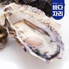 통영 제철 석화 하프셀 반각굴 1.2kg 내외