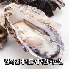 통영 제철 석화 하프셀 반각굴 1.2kg 내외