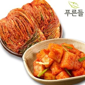 양념한가득 남도식 포기김치 1kg + 깍두기 1kg