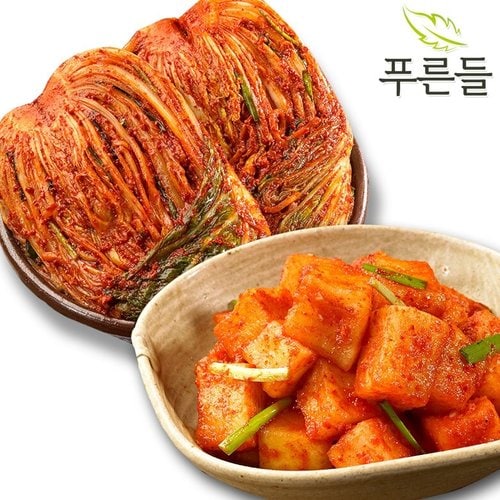 이미지 P