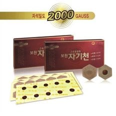 보원 의료용 자기발생기 자기천 10개1박스 2000가우스