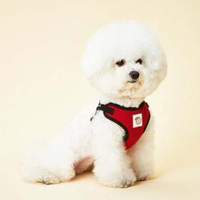 강아지하네스 이지핏 레드 M 반려견 애견 산책 가슴줄 강아지하네스 애견하네스 강아지가슴줄 애견가슴줄