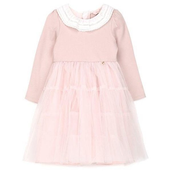 확대된 대표 image1