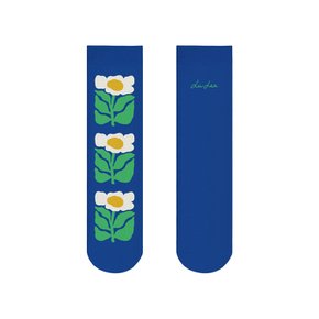 양말 Spring, 리브 리