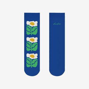 양말 Spring, 리브 리