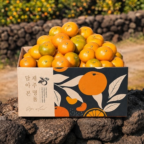 이미지 G