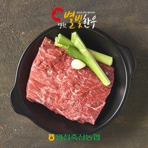 [영천축협]영천별빛한우 양지300g / 1+등급