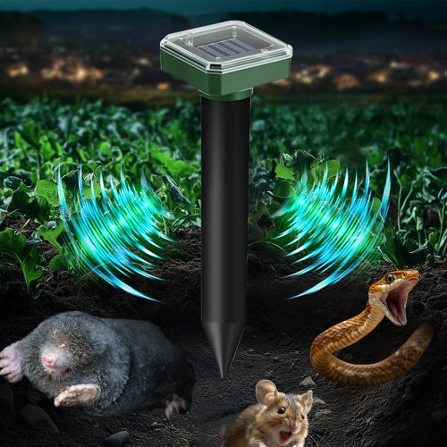 추가이미지