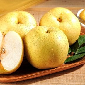[유명산지] 나주 황금배 가정용 3kg (4-6과)  나주직송