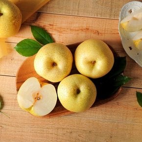 [유명산지] 나주 황금배 가정용 3kg (4-6과)  나주직송