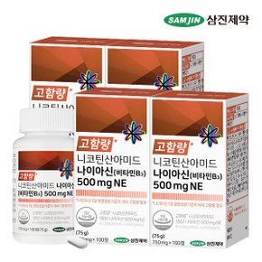 니코틴산아미드 나이아신 비타민B3 500mgNE 4병 (400정)