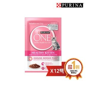원 캣 습식 키튼 70g 12개입