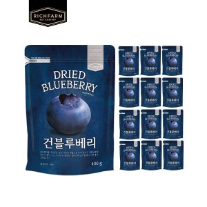 리치팜너트 건블루베리 400g x13봉 건과일 블루베리