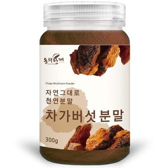  동의한재 최상품 러시아 차가버섯 분말 가루 300g