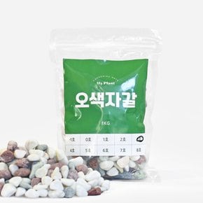 오색자갈 1kg 소포장