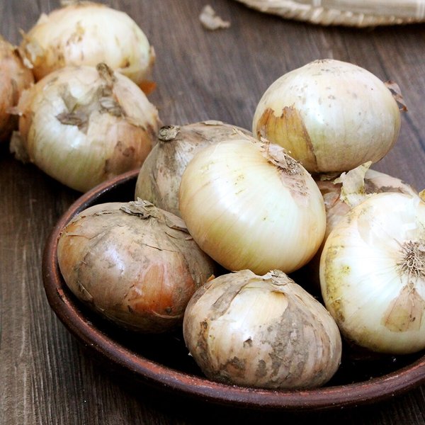 [산지직송] 단단한 황토 무안 햇 양파(대)3kg