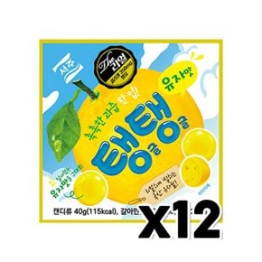 탱글탱글 유자맛젤리 디저트간식 40g x 12개