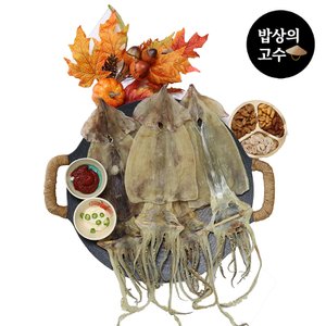  구룡포오징어 20마리 1.5kg 국산 동해안 건조 오징어