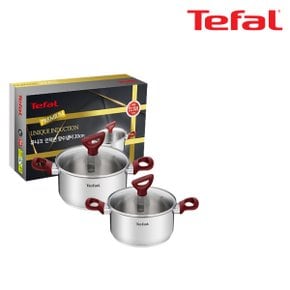 [BIZ][Tefal] 테팔 유니크 인덕션 프리미엄 냄비(양수18+20)