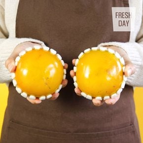 아삭달콤 배단감 태추 단감 정품 대과 1kg