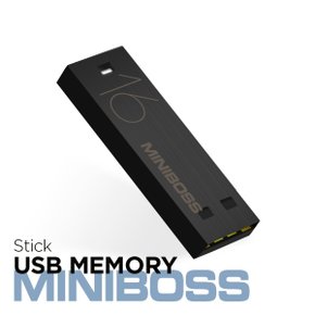 테라토닉 Miniboss Stick 16GB 블랙,화이트