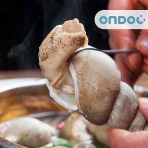 국내산 동해안 통 백골뱅이 2kg(중-대/40-60미)