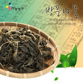 국산 나물 방풍나물 건데친 250g