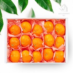 제주 레드향 3kg 중과