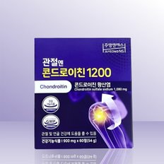 주영엔에스 관절엔 콘드로이친 1200 900mg x 60정 / IY