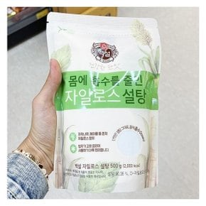 백설 몸에흡수를줄인 자일로스설탕 500g x 2개 코스트코