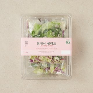  원데이 샐러드 (210g)