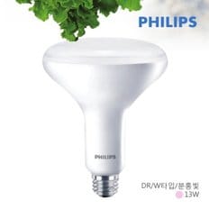 PHILIPS LED PAR30 식물램프 13W(국화) (2700K)