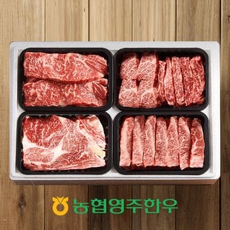 작심밀도 [농협영주한우]1+ 로스특수부위 모듬 한판 6호 / 총 800g (등심200g,채끝200g,특수부위200gx2)